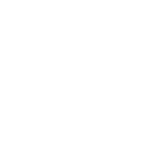 Person icon